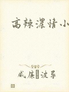 高辣浓情小说