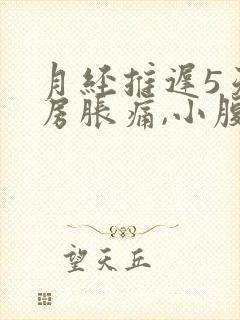 月经推迟5天乳房胀痛,小腹阵痛有分泌物