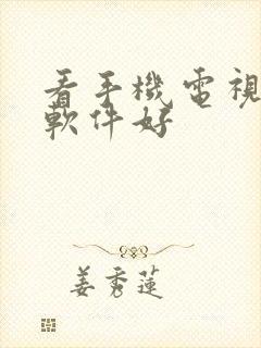 看手机电视哪个软件好