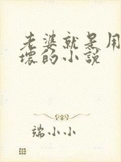 老婆就是用来玩坏的小说封面