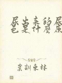 尿出来的尿是红色是什么原因