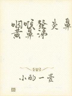 咽喉发炎鼻子有黄鼻涕