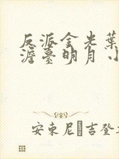 反派金光叶玄,澹台明月 小说封面