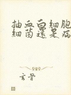 抽血白细胞高是细菌还是病毒感染封面