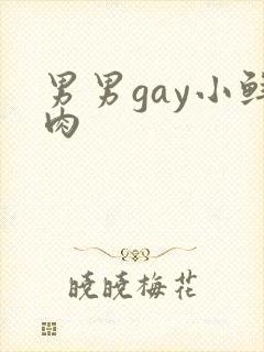 男男gay小鲜肉