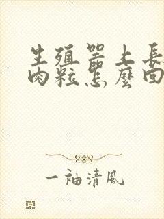 生殖器上长了小肉粒怎么回事