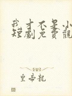 我才不是小可怜短剧免费观看