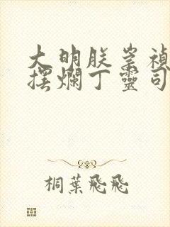 大明朕崇祯只想摆烂丁灵司免费阅读