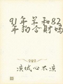 91年羊和82年狗合财吗封面