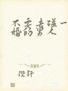 不要去碰一个已婚的男人封面