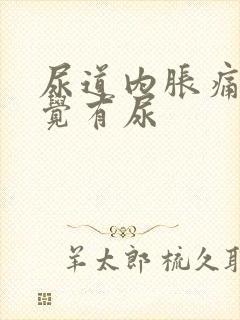 尿道内胀痛总感觉有尿