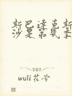 斯巴达克斯血与沙是第几季