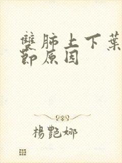 双肺上下叶小结节原因