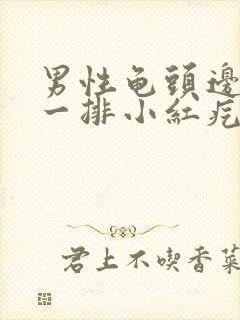 男性龟头边缘出一排小红疙瘩