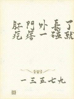 肛门外长了个硬疙瘩一碰就疼