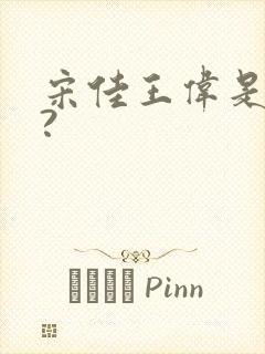 宋佳王伟是夫妻?封面