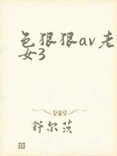 色狠狠av老熟女3封面