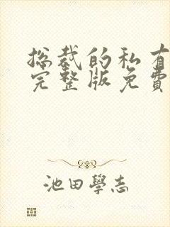 总裁的私有宝贝完整版免费阅读封面