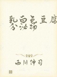 乳白色豆腐渣样分泌物