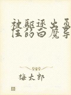 被驱逐出勇者队伍的白魔导师动漫