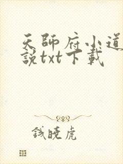 天师府小道士小说txt下载