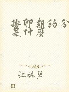 排卵期的分泌物是什么