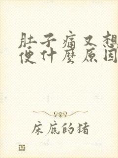 肚子痛又想拉大便什么原因