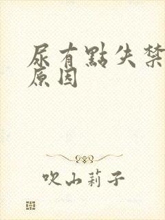 尿有点失禁什么原因