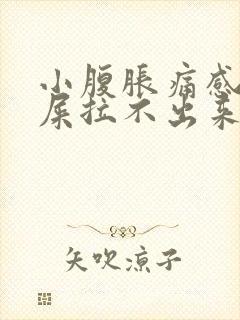 小腹胀痛感觉有屎拉不出来