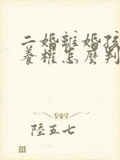 二婚离婚孩子抚养权怎么判