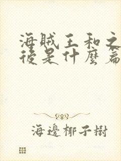 海贼王和之国之后是什么篇