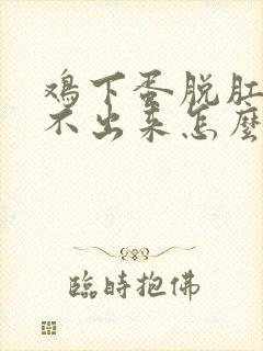 鸡下蛋脱肛蛋下不出来怎么办