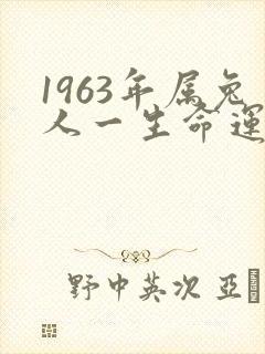 1963年属兔人一生命运如何