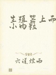 生殖器上面上长小肉粒