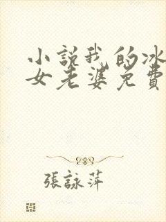 小说我的冰山美女老婆免费阅读