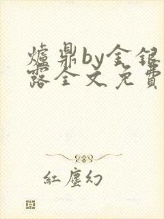 炉鼎by金银花露全文免费阅读笔趣阁封面