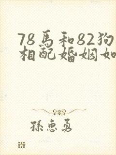 78马和82狗相配婚姻如何