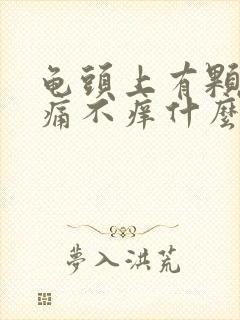 龟头上有颗粒不痛不痒什么原因