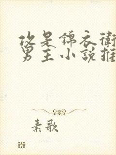 攻是锦衣卫的双男主小说推荐