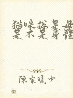 猫咪总是母鸡蹲是不是身体不舒服