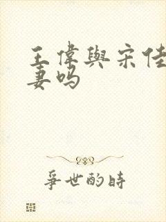 王伟与宋佳是夫妻吗