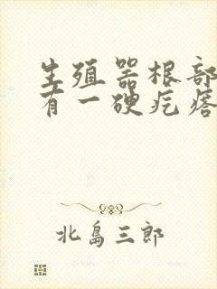 生殖器根部上面有一硬疙瘩