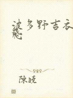 波多野吉衣之双飞