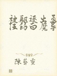 被驱逐出勇者队伍的白魔导师动漫