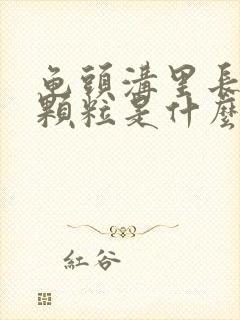 龟头沟里长白色颗粒是什么东西