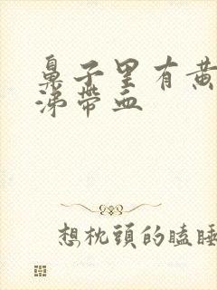 鼻子里有黄稠鼻涕带血