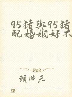 95猪与95猪配婚姻好不好