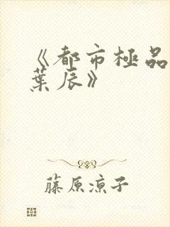 《都市极品医神叶辰》