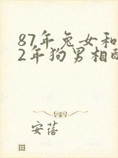 87年兔女和82年狗男相配婚姻如何