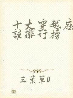 十大穿越历史小说排行榜封面